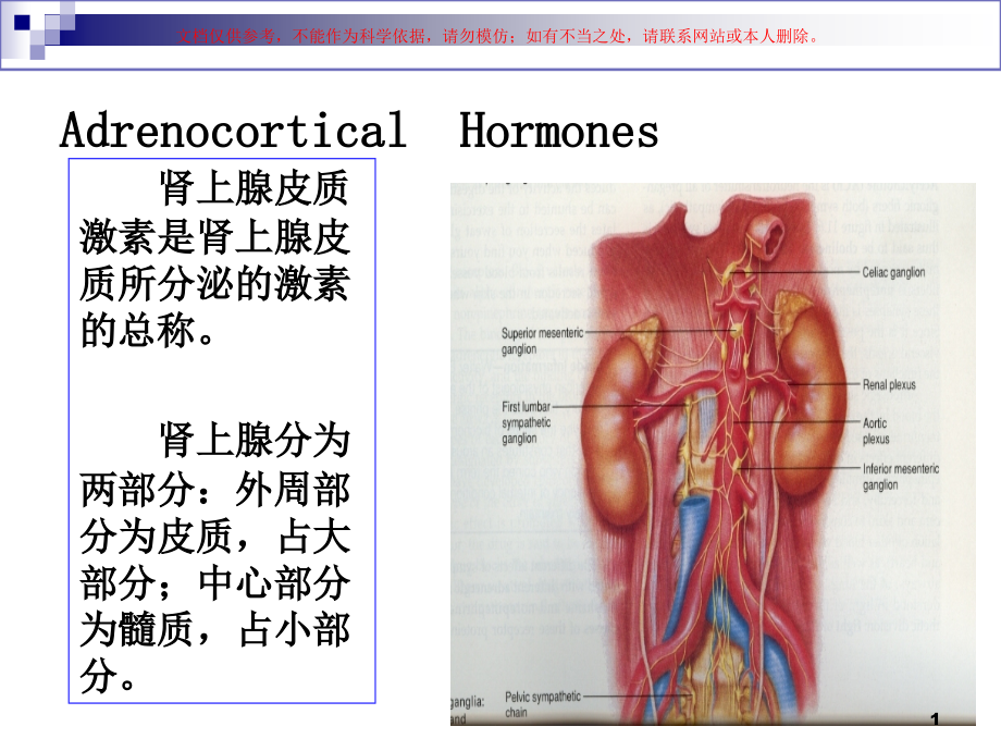 药理学糖皮质激素ppt课件_第1页