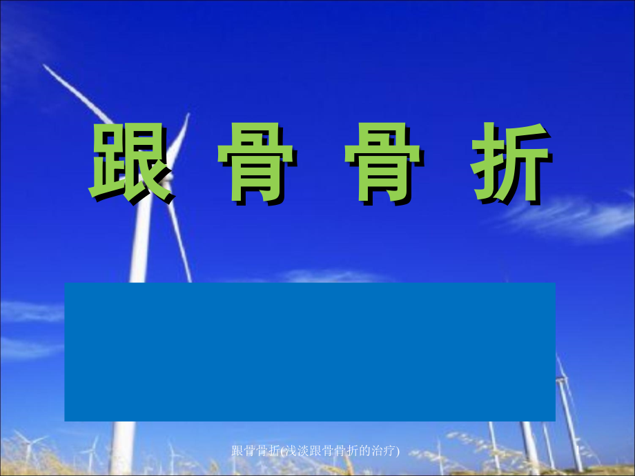 跟骨骨折(浅淡跟骨骨折的治疗)ppt课件_第1页