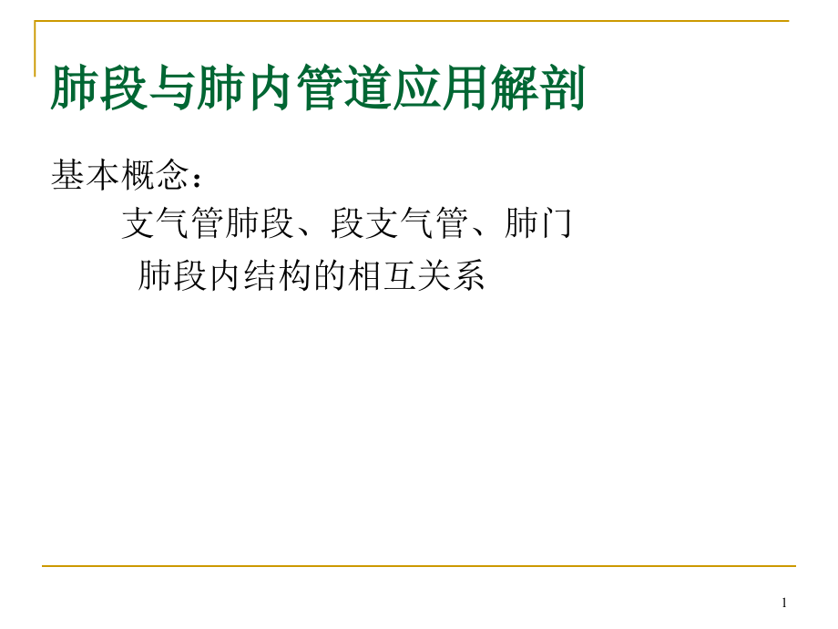 肺门和肺段断层解剖及CT课件_第1页