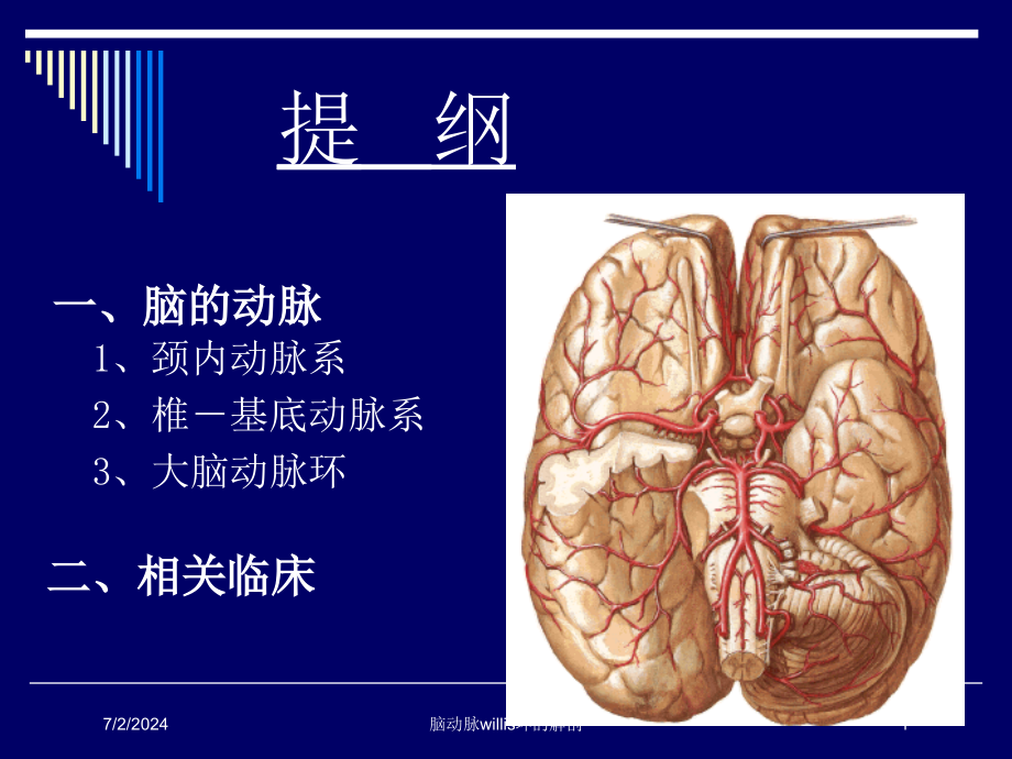 脑动脉willis环的解剖培训ppt课件_第1页