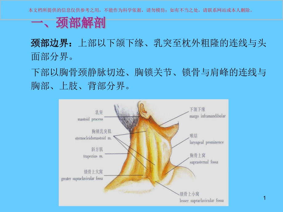 颈部肿块的鉴别诊断培训ppt课件_第1页