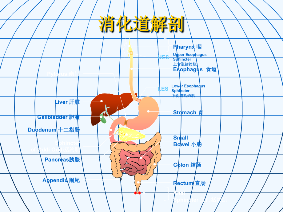 消化系统常用药鲁临-课件_第1页