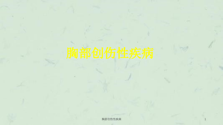 胸部创伤性疾病ppt课件_第1页