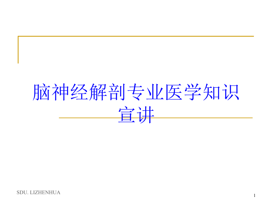 脑神经解剖专业医学知识宣讲培训ppt课件_第1页