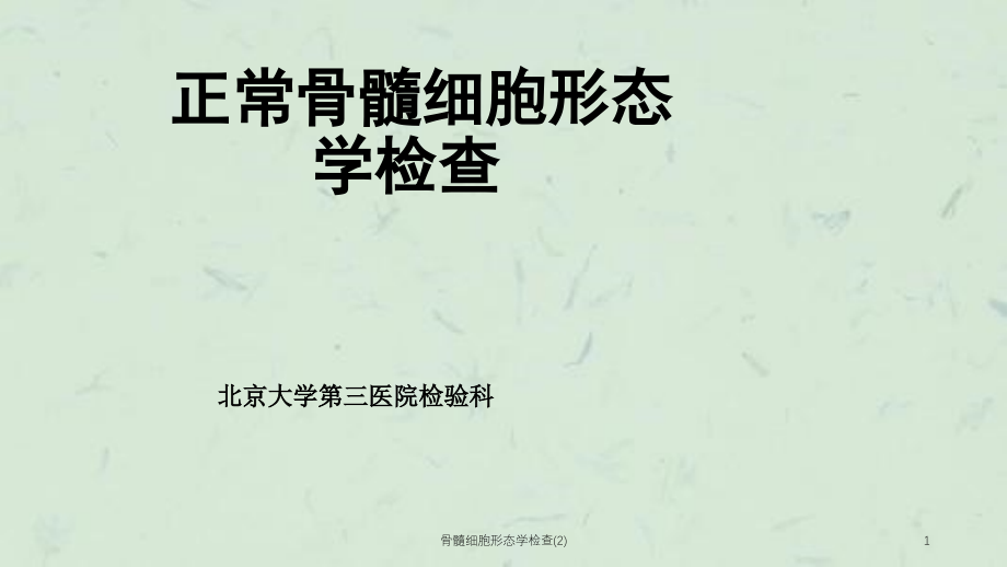 骨髓细胞形态学检查ppt课件_第1页