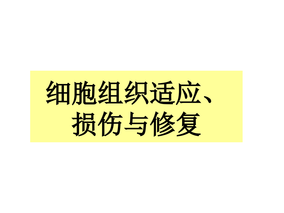 适应损伤与修复课件_第1页