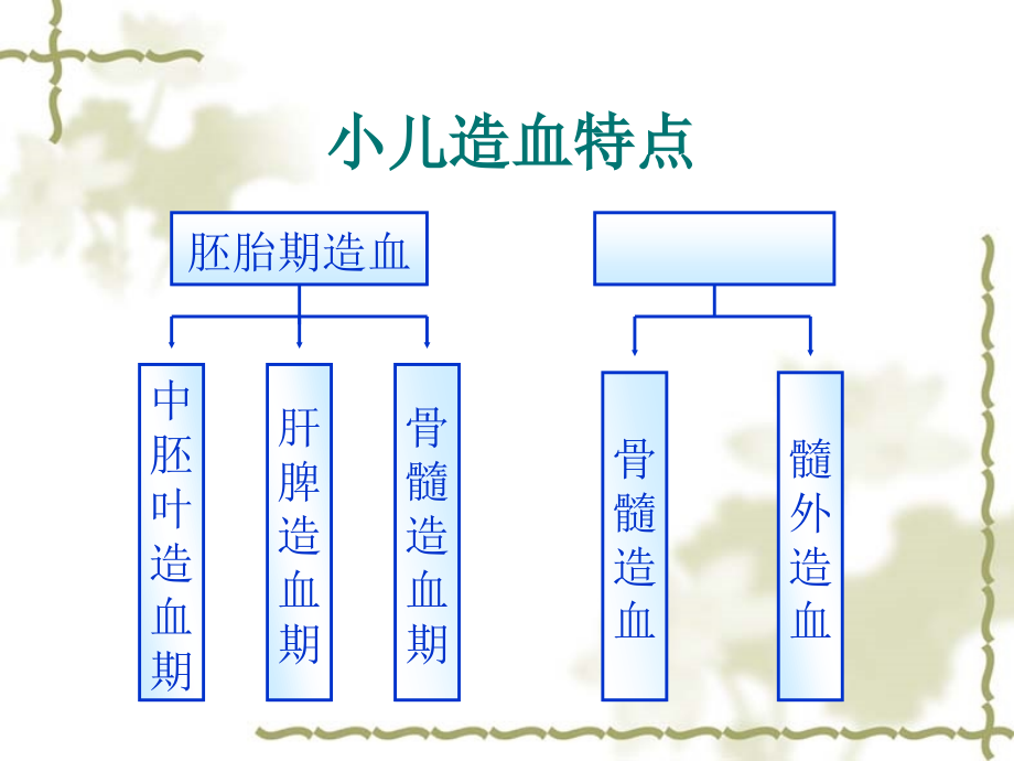 造血系统疾病患儿的护理课件_第1页