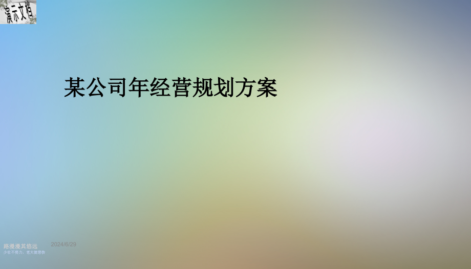 某公司年经营规划方案_第1页