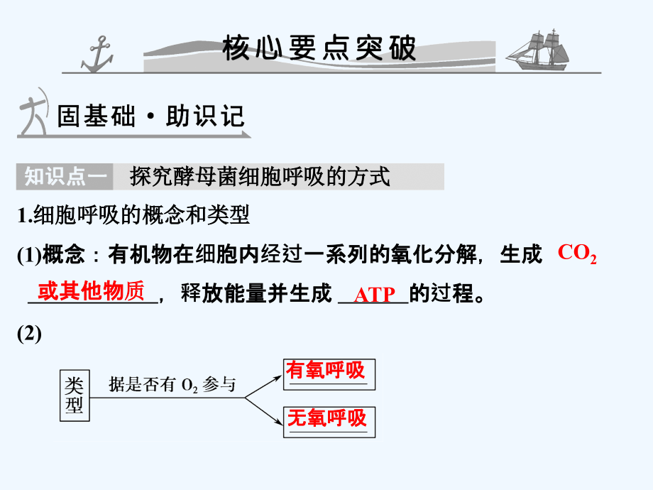 高考生物第二单元专题五细胞呼吸ppt课件_第1页