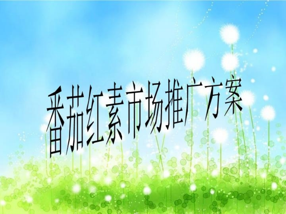 番茄红素市场推广方案课件_第1页