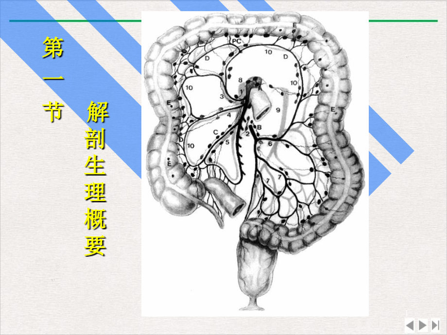 结肠直肠肛管疾病课件_第1页