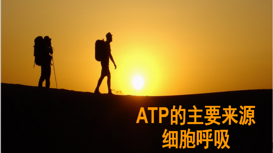 高考一轮复习人教版生物必修一《ATP的主要来源细胞呼吸》ppt课件_第1页