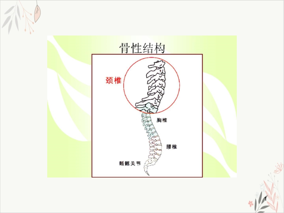 颈椎病图解课件(模板)_第1页