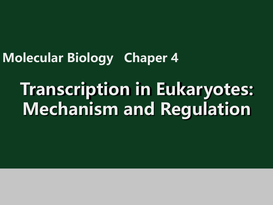 真核生物转录机理与调控汇总讲解课件_第1页