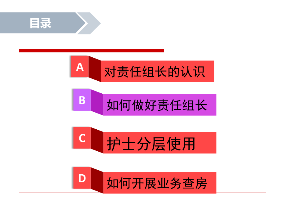 责任护理组长演示课件_第1页