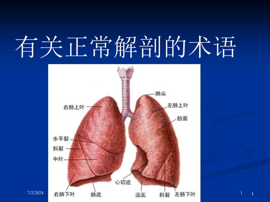 肺部CT影像征象图解培训ppt课件_第1页