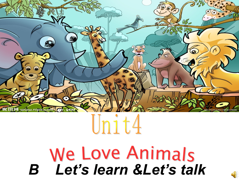 YH_We_love_animals_part_B222课件_第1页