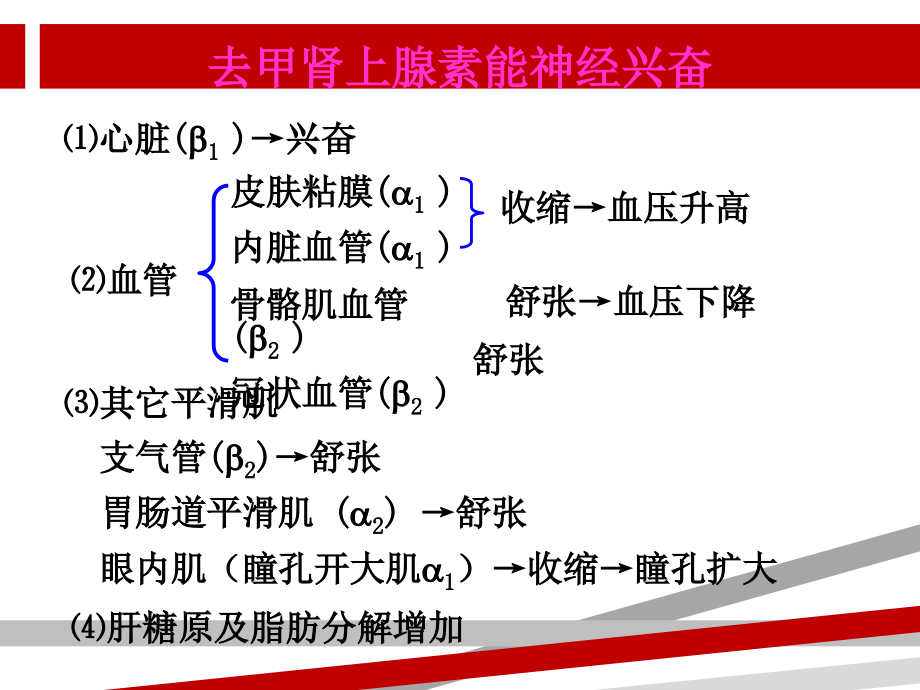 药理学肾上腺素受体激动药课件_第1页