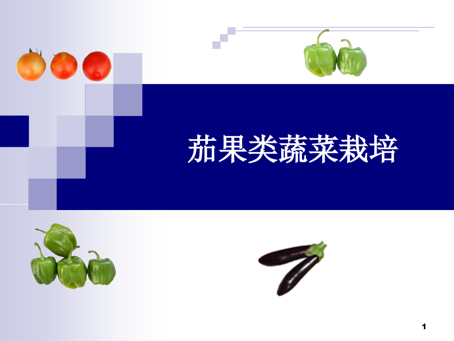 茄果类蔬菜栽培课件_第1页