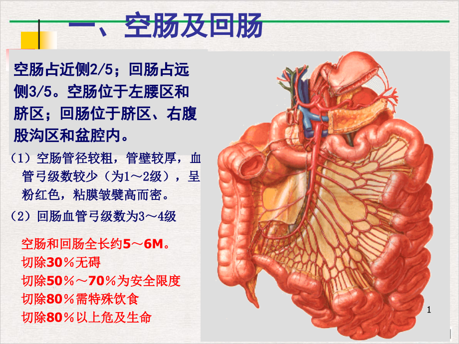 结肠下区腹后隙课件_第1页