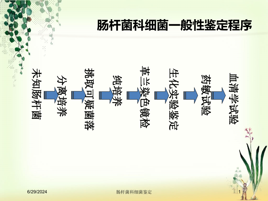 肠杆菌科细菌鉴定培训ppt课件_第1页