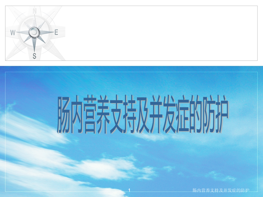 肠内营养支持及并发症的防护ppt课件_第1页