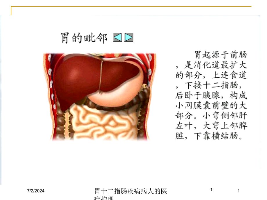 胃十二指肠疾病病人的医疗护理培训ppt课件_第1页