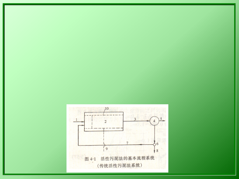 污水的生物处理活性污泥法课件_第1页