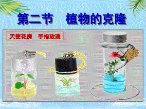 生物：《植物的克隆》全面資料課件