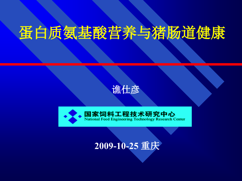 氨基酸营养与肠道健康教学课件_第1页