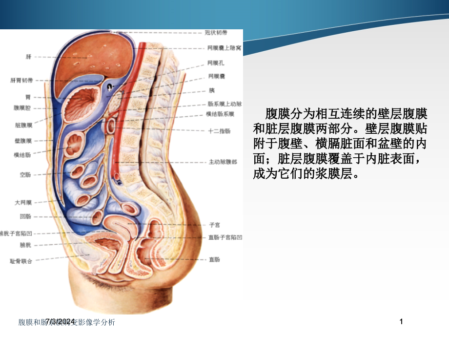 腹膜和肠系膜病变影像学分析培训ppt课件_第1页