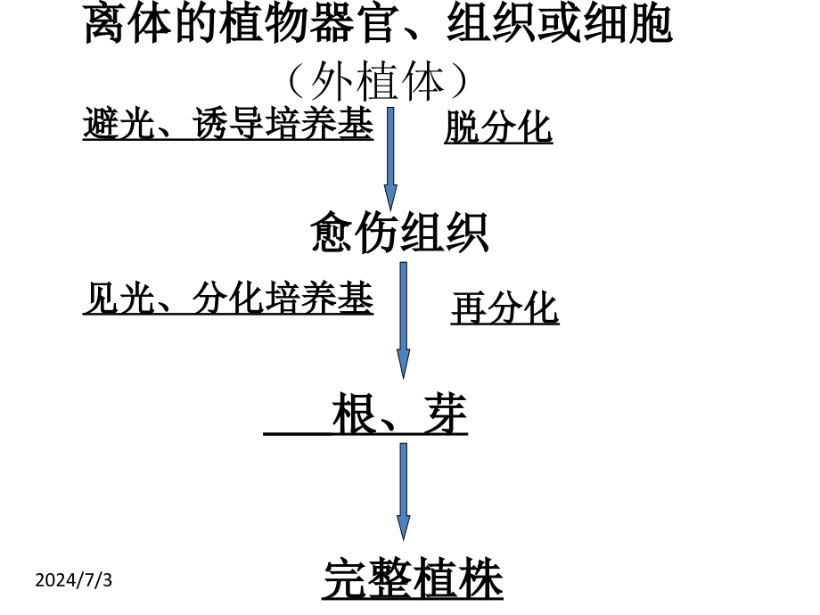 植物细胞工程的实际应用上课用课件_第1页