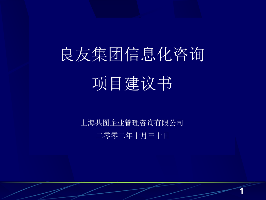 某集团信息化咨询项目建议书课件_第1页