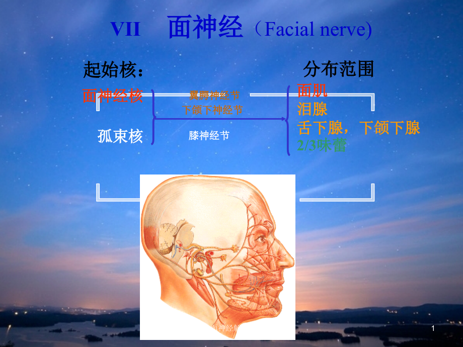 面神经解剖xppt课件_第1页