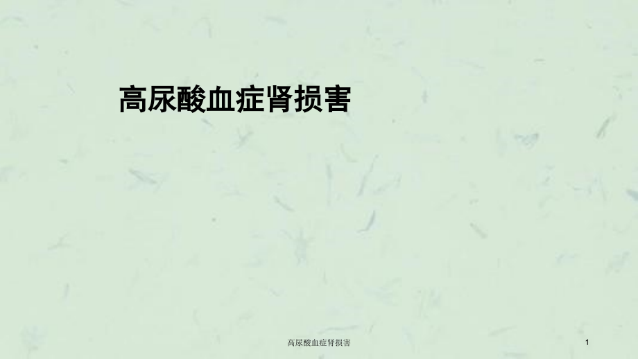 高尿酸血症肾损害ppt课件_第1页