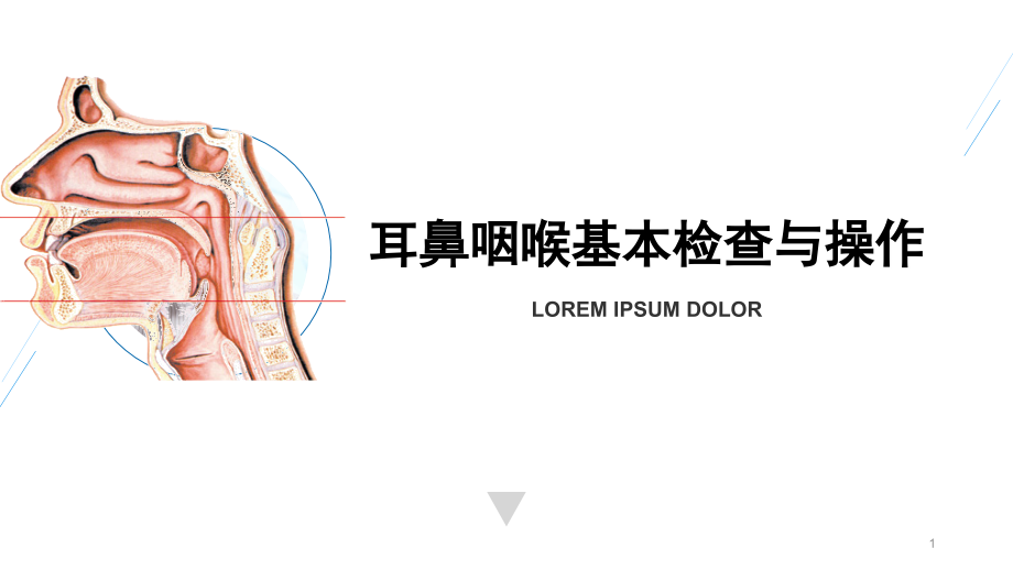 耳鼻咽喉基本检查与操作演示课件_第1页