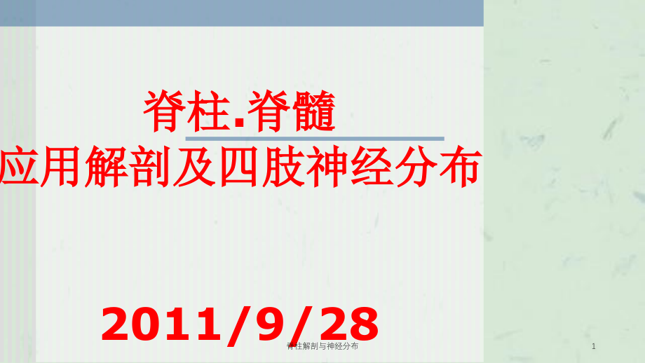 脊柱解剖与神经分布ppt课件_第1页