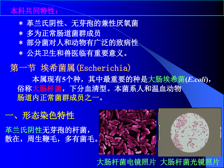 肠杆菌科医学知识课件_第1页