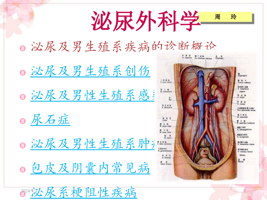 泌尿外科学讲义课件_第1页