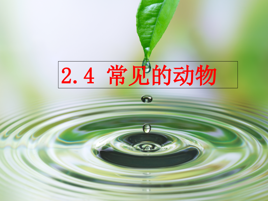 浙教版七年级科学上册24-常见的动物课件_第1页