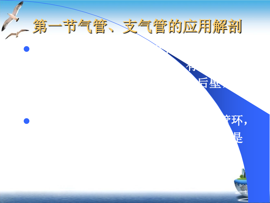 气管食管教案课件_第1页