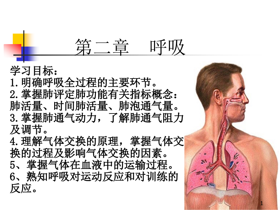 运动生理学-呼吸课件_第1页