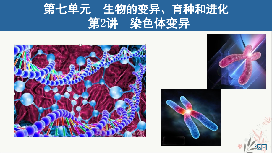 染色体变异教学课件2021届高考生物一轮复习_第1页