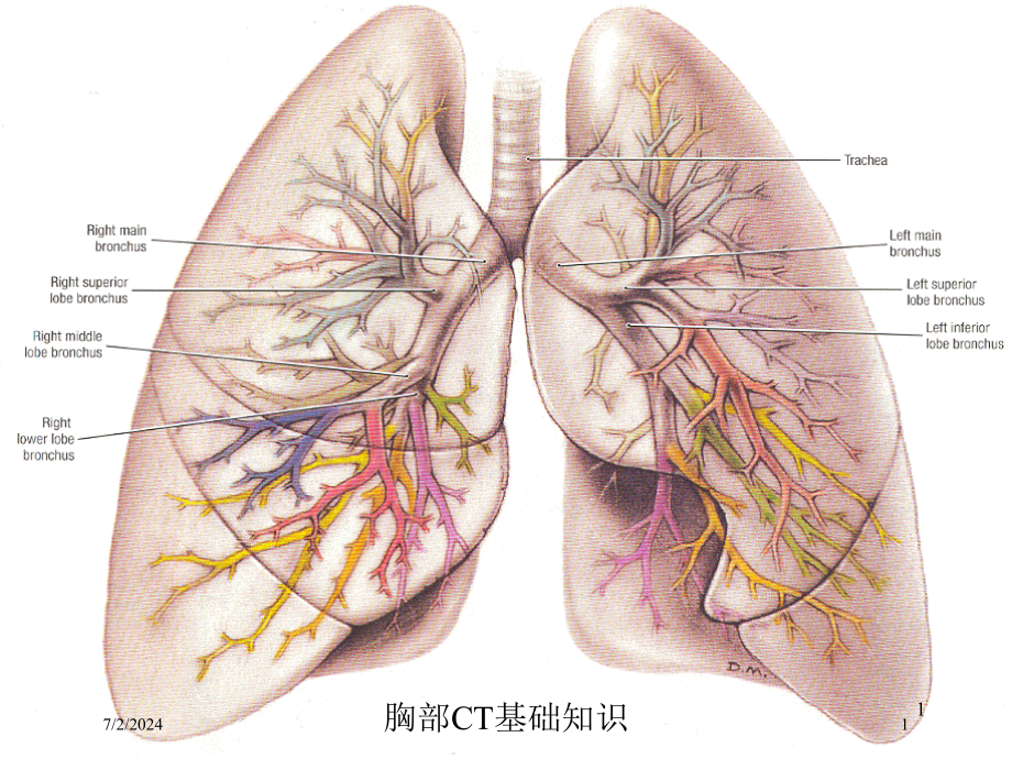 胸部CT基础知识培训ppt课件_第1页