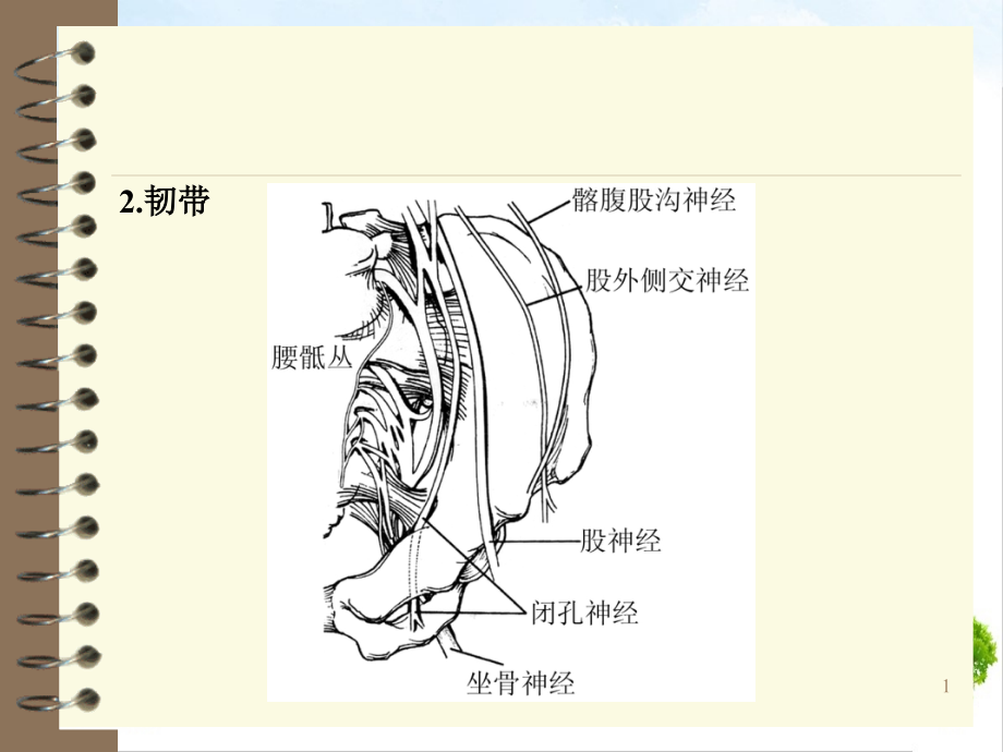 骨盆骨折的诊断与治疗ppt课件_第1页