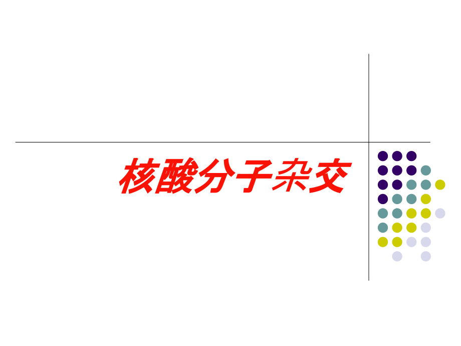 核酸分子杂交培训课件_第1页