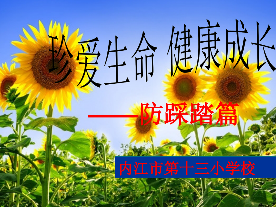 防踩踏(十三小)课件_第1页