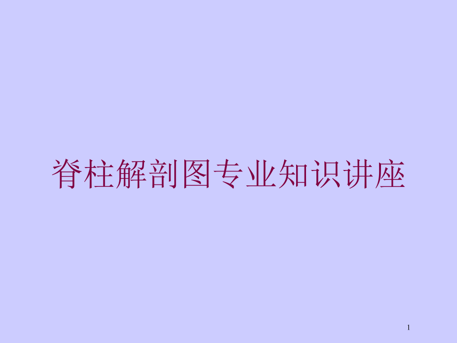 脊柱解剖图专业知识讲座培训ppt课件_第1页