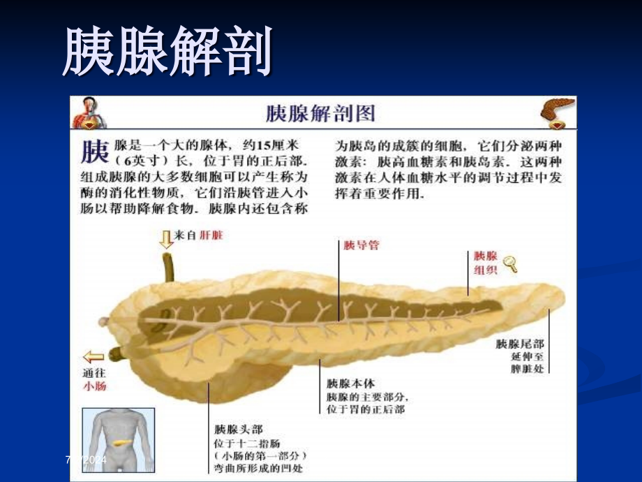 胰腺疾病CT诊疗培训ppt课件_第1页