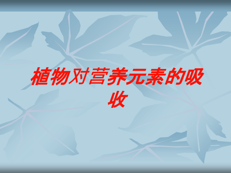 植物对营养元素的吸收培训课件_第1页